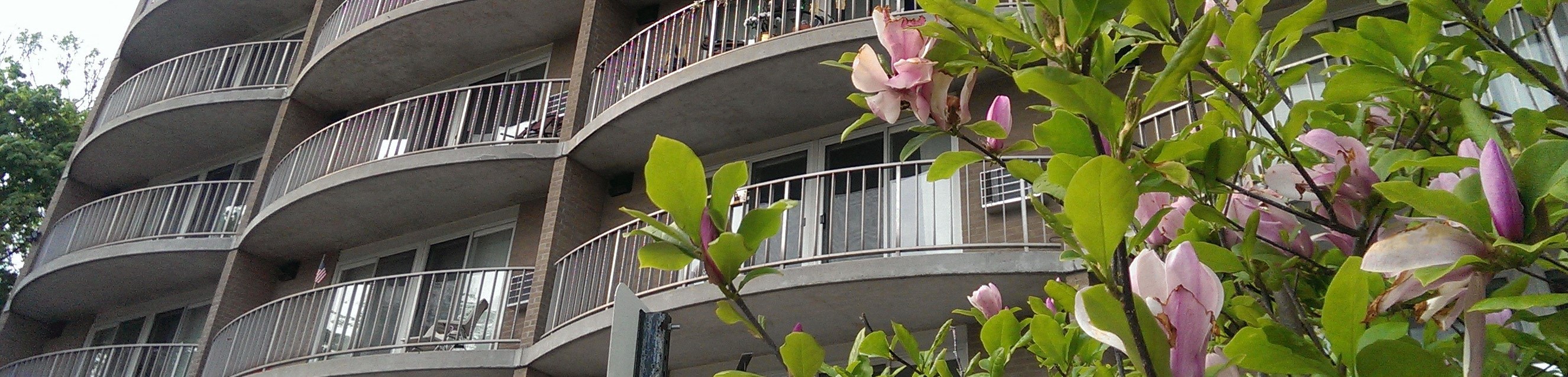 Ann Arbor Housing Commission Apartments in Ann Arbor, MI RENTCafe